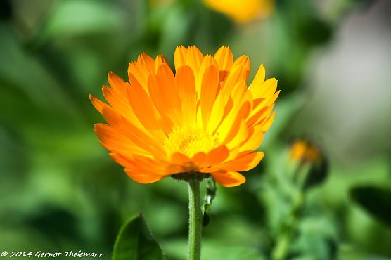 Wetterbild (Foto: Gernot Thelemann)