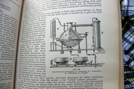 Schenkung an die Stadt (Foto: Karl-Heinz Herrmann (Manfred Kucksch))