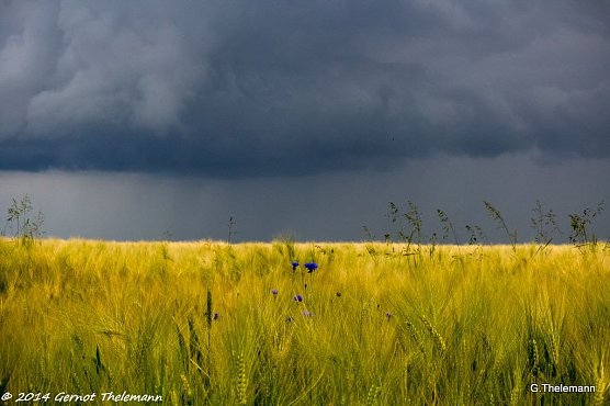 Wetter-Bild (Foto: Gernot Thelemann) Wetter-Bild (Foto: Gernot Thelemann)