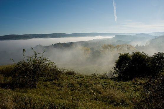 Herbstgeschichten und sonderbare Pflanzenwesen (Foto: Thomas Stephan)