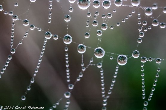 Wetter-Bild (Foto: Gernot Thelemann) Wetter-Bild (Foto: Gernot Thelemann)