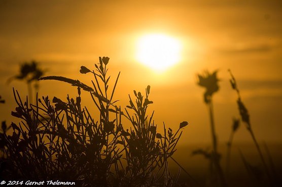 Wetterbild (Foto: Gernot Thelemann)