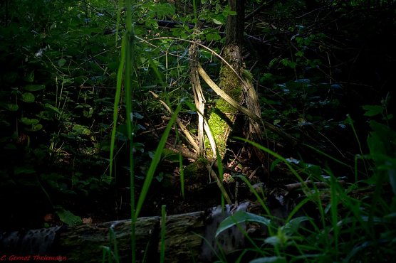 Wetter-Bild (Foto: Gernot Thelemann) Wetter-Bild (Foto: Gernot Thelemann)