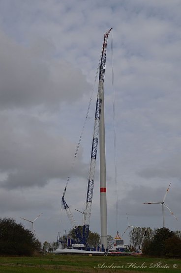 Man ist der Fl&uuml;gel lang!!! (Foto: Andreas Hocke)