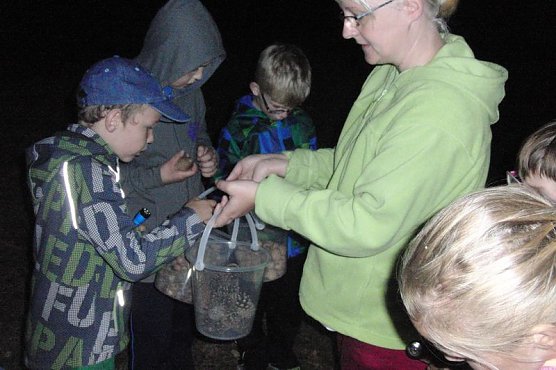Nachtwanderung (Foto: Mehrgenerationshaus Ro&szlig;leben)
