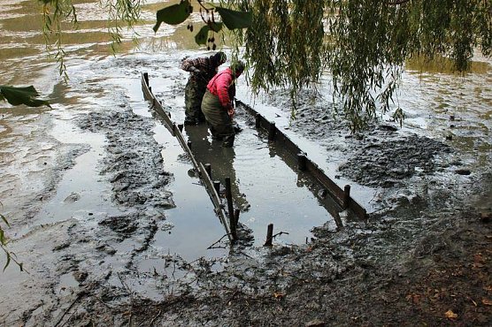Fische umgesetzt (Foto: Karl-Heinz Herrmann)
