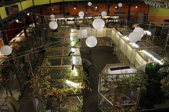 Zauberhafte Ausstellung (Foto: Karl-Heinz Herrmann)