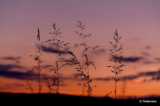 Wetterbild (Foto: Gernot Thelemann) Wetterbild (Foto: Gernot Thelemann)