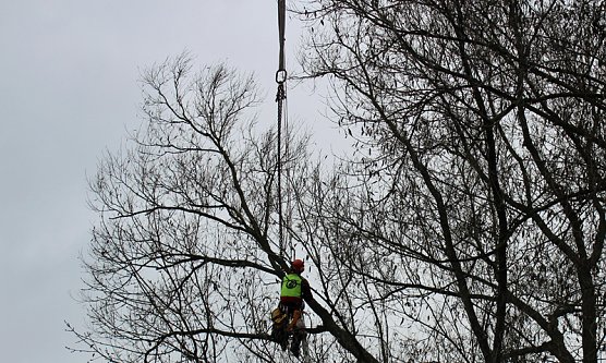 Da muss man schwindelfrei sein (Foto: Karl-Heinz Herrmann) Da muss man schwindelfrei sein (Foto: Karl-Heinz Herrmann)