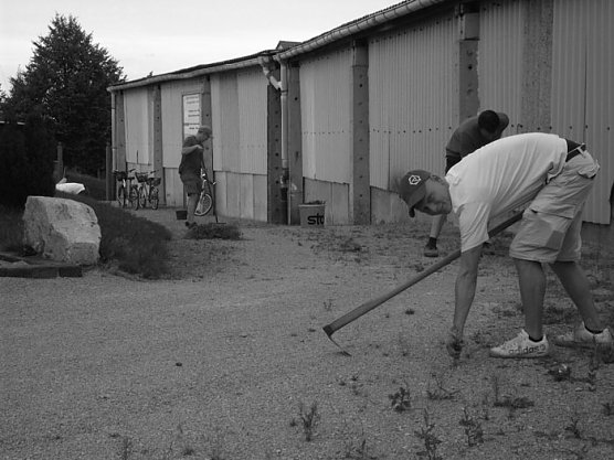 Oldislebener Apfel in die Gemeinde Oldisleben holen (Foto: Thomas Röber) Oldislebener Apfel in die Gemeinde Oldisleben holen (Foto: Thomas Röber)