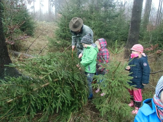 Der Tannenbaum im Winterwald (Foto: Kindervilla Bad Frankenhausen)