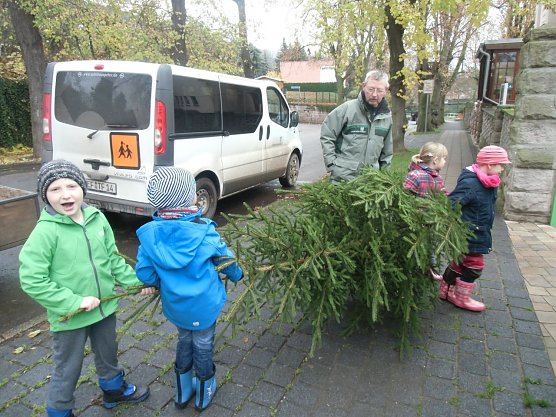 Der Tannenbaum im Winterwald (Foto: Kindervilla Bad Frankenhausen)