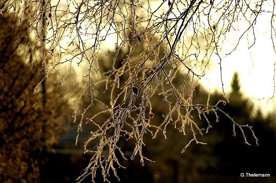 Wetter-Bild (Foto: Gernot Thelemann) Wetter-Bild (Foto: Gernot Thelemann)