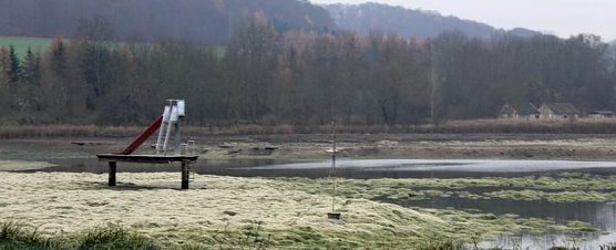 Ja was ist denn mit dem Teich passiert? (Foto: Privat)