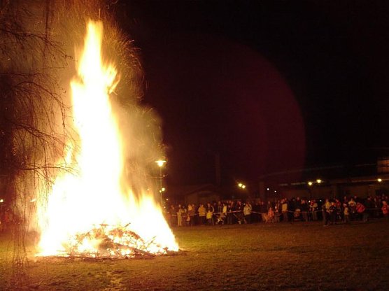 Weihnachtsb&auml;ume werden wieder ben&ouml;tigt! (Foto: Stadt Bad Frankenhausen)