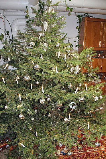 Im Verband Weihnacht gefeiert (Foto: Karl-Heinz Herrmann)