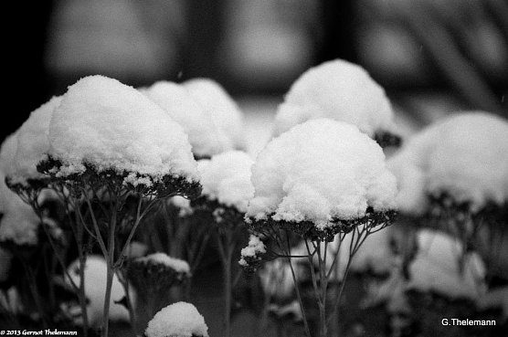 Wetterbild (Foto: Gernot Thelemann)