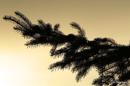 Wetterbild (Foto: Gernot Thelemann)