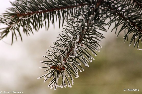 Wetterbild (Foto: Gernot Thelemann)