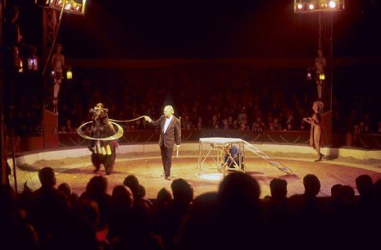 Zirkus Berousek (Foto: Stiftung f&uuml;r B&auml;ren)