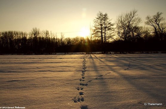 Wetterbild (Foto: Gernot Thelemann)