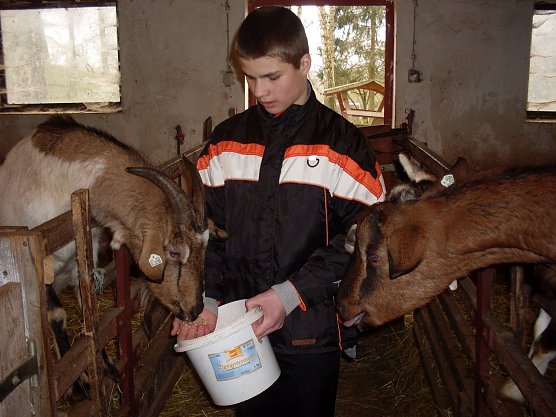 Tiere f&uuml;ttern, spielen, Natur erleben - das Wintercamp in Harzrigi hat wieder viel zu bieten (Foto: Schullandheim Harzrigi)