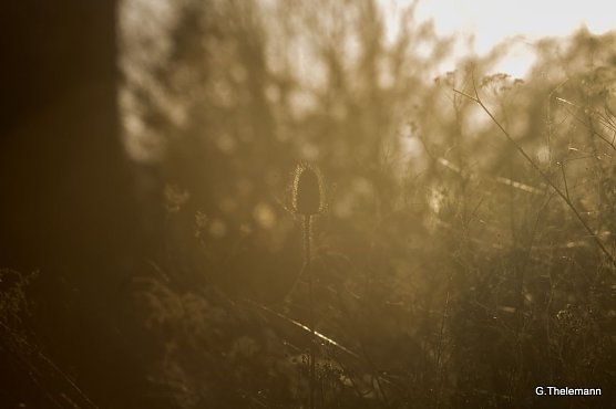 Wetterbild (Foto: Gernot Thelemann)