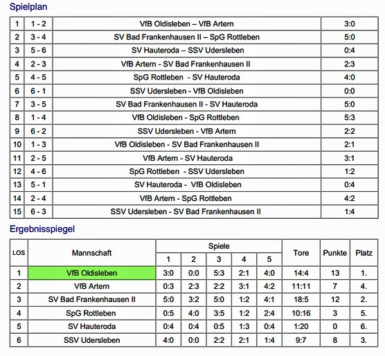 Endrunde im Hallenfu&szlig;ball komplett (Foto: Nordth&uuml;ringer Fu&szlig;ballverband)