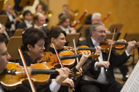 Loh-Orchester (Foto: Tillmann Graner)