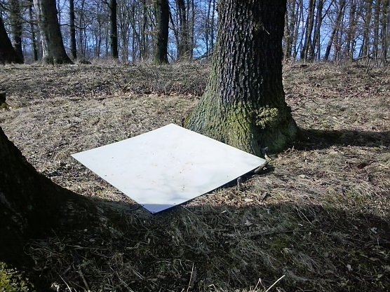 Die Idylle t&auml;uscht (Foto: Karl-Heinz Herrmann)