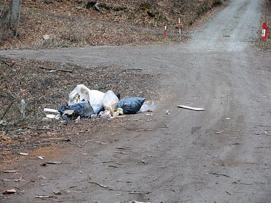 M&uuml;ll &uuml;ber M&uuml;ll (Foto: Privat)