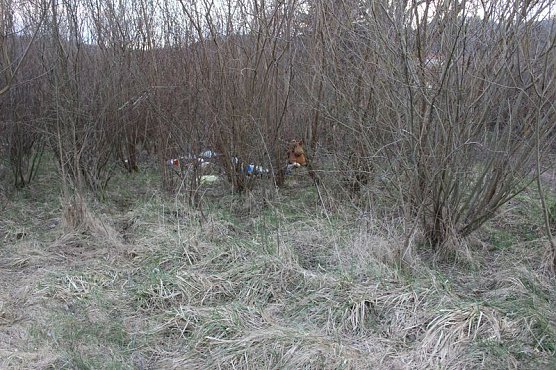 Ich glaub mich knutscht ein Elch… (Foto: Karl-Heinz Herrmann) Ich glaub mich knutscht ein Elch… (Foto: Karl-Heinz Herrmann)