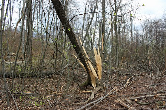 Wanderregion Sondershausen (Foto: Karl-Heinz Herrmann)