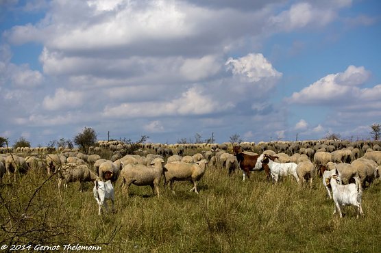 Wetterbild (Foto: Gernot Thelemann) Wetterbild (Foto: Gernot Thelemann)