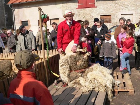 beinrode (Foto: beinrode)