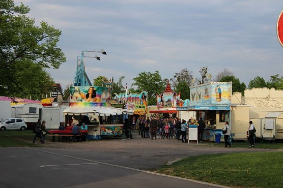 Fliederkrone wurde gesetzt (Foto: Karl-Heinz Herrmann) Fliederkrone wurde gesetzt (Foto: Karl-Heinz Herrmann)