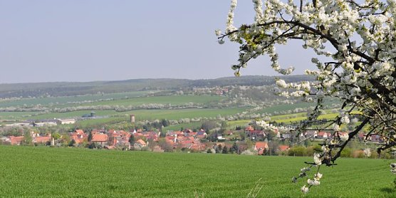 Tourismus-Workshop Hohe Schrecke (Foto: Regionalmanagement Hohe Schrecke)