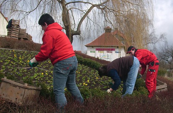Blumenpflanzung (Foto: Karl-Heinz Herrmann)