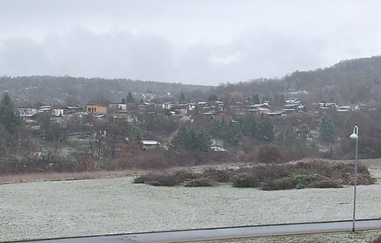 Blumenpflanzung (Foto: Karl-Heinz Herrmann)