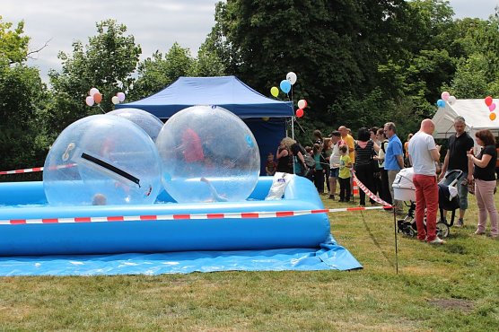 Bums da war der Kopf ab! (Foto: Privat) Bums da war der Kopf ab! (Foto: Privat)