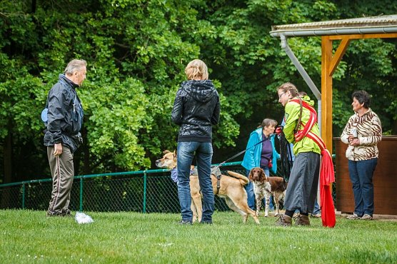 Mantrailing-Seminar auf dem Sondersh&auml;user Hundeplatz (Foto: Privat)