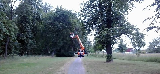 Neues aus Sondershausen (Foto: Privat) Neues aus Sondershausen (Foto: Privat)