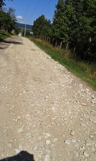 Rund um Sondershausen meiden (Foto: Privat)