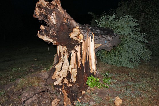 Schlosspark verwüstet (Foto: Karl-Heinz Herrmann) Schlosspark verwüstet (Foto: Karl-Heinz Herrmann)
