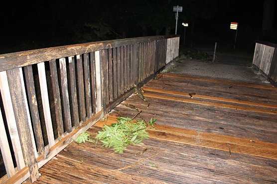 Schlosspark verwüstet (Foto: Karl-Heinz Herrmann) Schlosspark verwüstet (Foto: Karl-Heinz Herrmann)