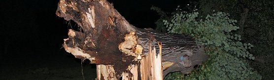 Sturm (Foto: Karl-Heinz Herrmann) Sturm (Foto: Karl-Heinz Herrmann)