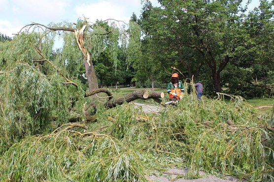Rock meets Classic findet statt (Foto: Karl-Heinz Herrmann)