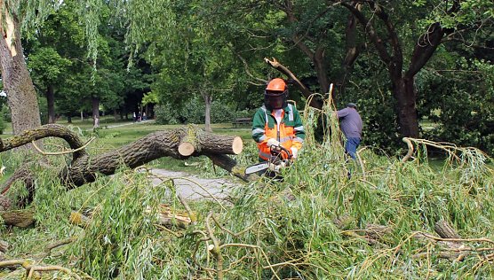 Schlosspark Sondershausen gesperrt  (Foto: Karl-Heinz Herrmann)