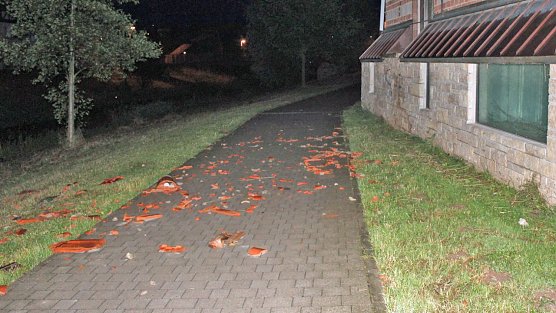 Vorsicht bei Waldspazierg&auml;ngen (Foto: Karl-Heinz Herrmann)