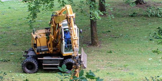 Sturmsch&auml;den im Schlosspark Sondershausen (Foto: Karl-Heinz Herrmann)